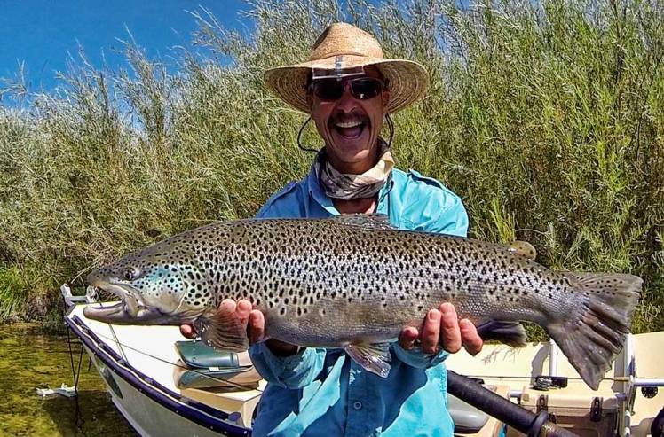 big-brown-san-juan-river